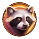 icon 5