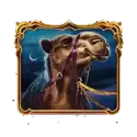 icon 4