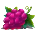 icon 3