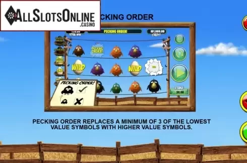Screen9. Birdz from Games Warehouse