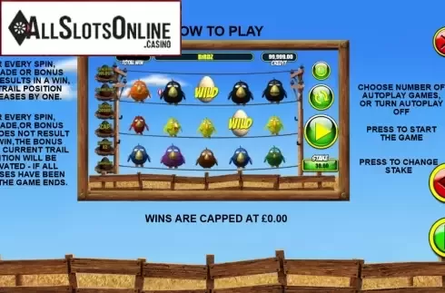 Screen5. Birdz from Games Warehouse