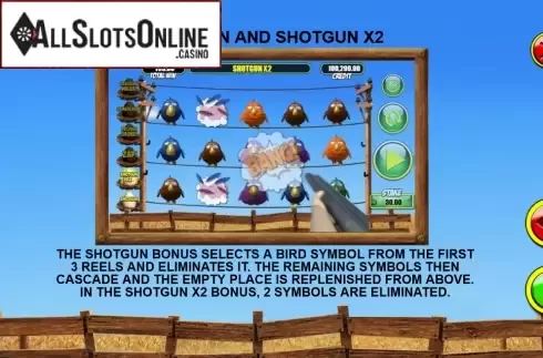 Screen7. Birdz from Games Warehouse