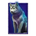 icon 4