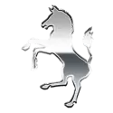 icon 1