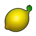 icon 6