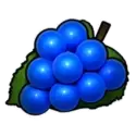 icon 3