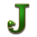 icon 9