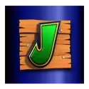 icon 9