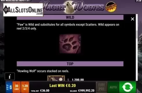 Features 3. Night Wolves RHFP from Gamomat