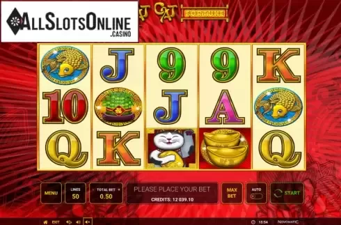 Reel Screen. Scat Cat Fortune from High Flyer Games
