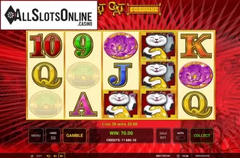 Win screen 3. Scat Cat Fortune from High Flyer Games