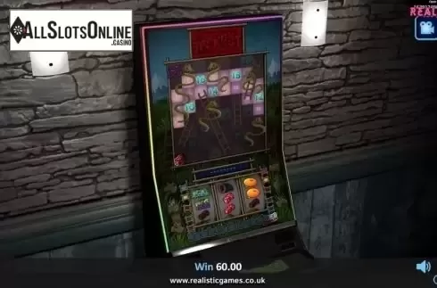 Reel Screen 2. Snakes & Ladders Deluxe from Realistic