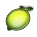icon 6