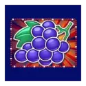icon 5