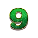icon 13