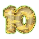 icon 10