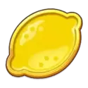 icon 5