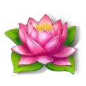 icon 9