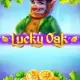 Lucky Oak