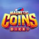 Magnetic Coins Dice