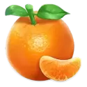 icon 5