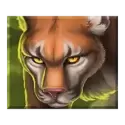icon 2