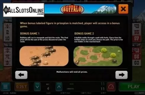 Bonus Game 1. Buffalo Bingo from MGA