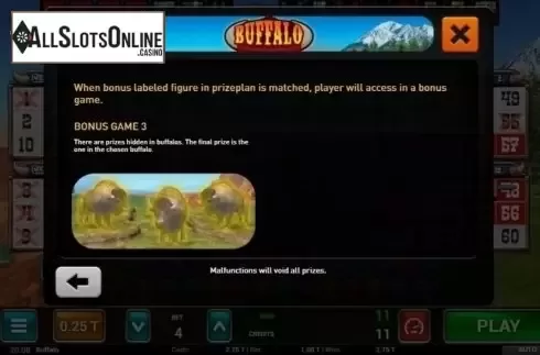 Bonus Game 2. Buffalo Bingo from MGA