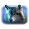 icon 4