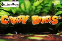 Crazy Birds