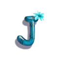 icon 10