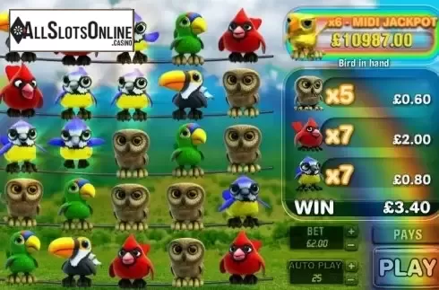 Win. Feathered Frenzy from Big Time Gaming