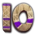 icon 10