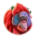 icon 4