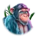 icon 5