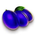 icon 5