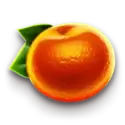 icon 6