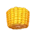 icon 5