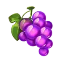 icon 4