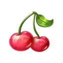 icon 5