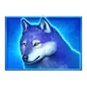 icon 4