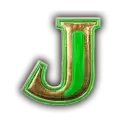 icon 9