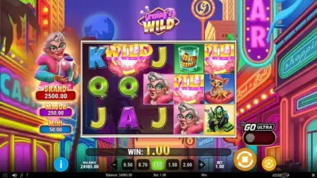 Granny’s Wild slot screenshot 4