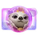 icon 4