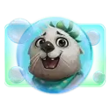 icon 5