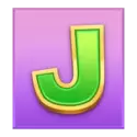 icon 13