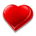 icon 1