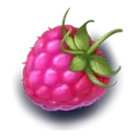 icon 1