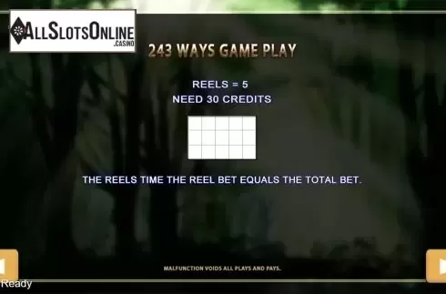 Paytable 4. 5 Tigers from PlayStar