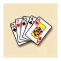 icon 4